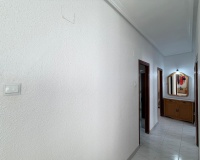 Resale - Apartments - Torrevieja - Estacion de autobuses