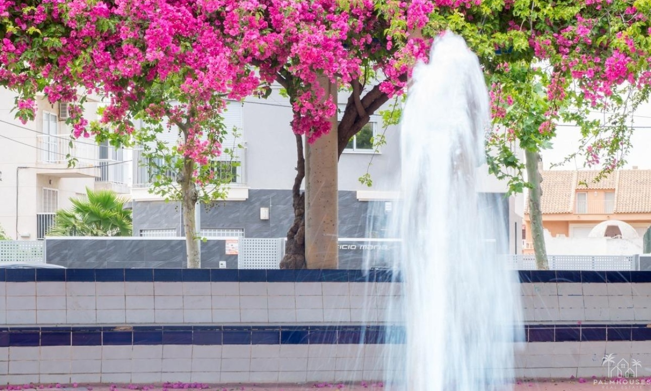 Resale - Apartments - Torrevieja - Estacion de autobuses