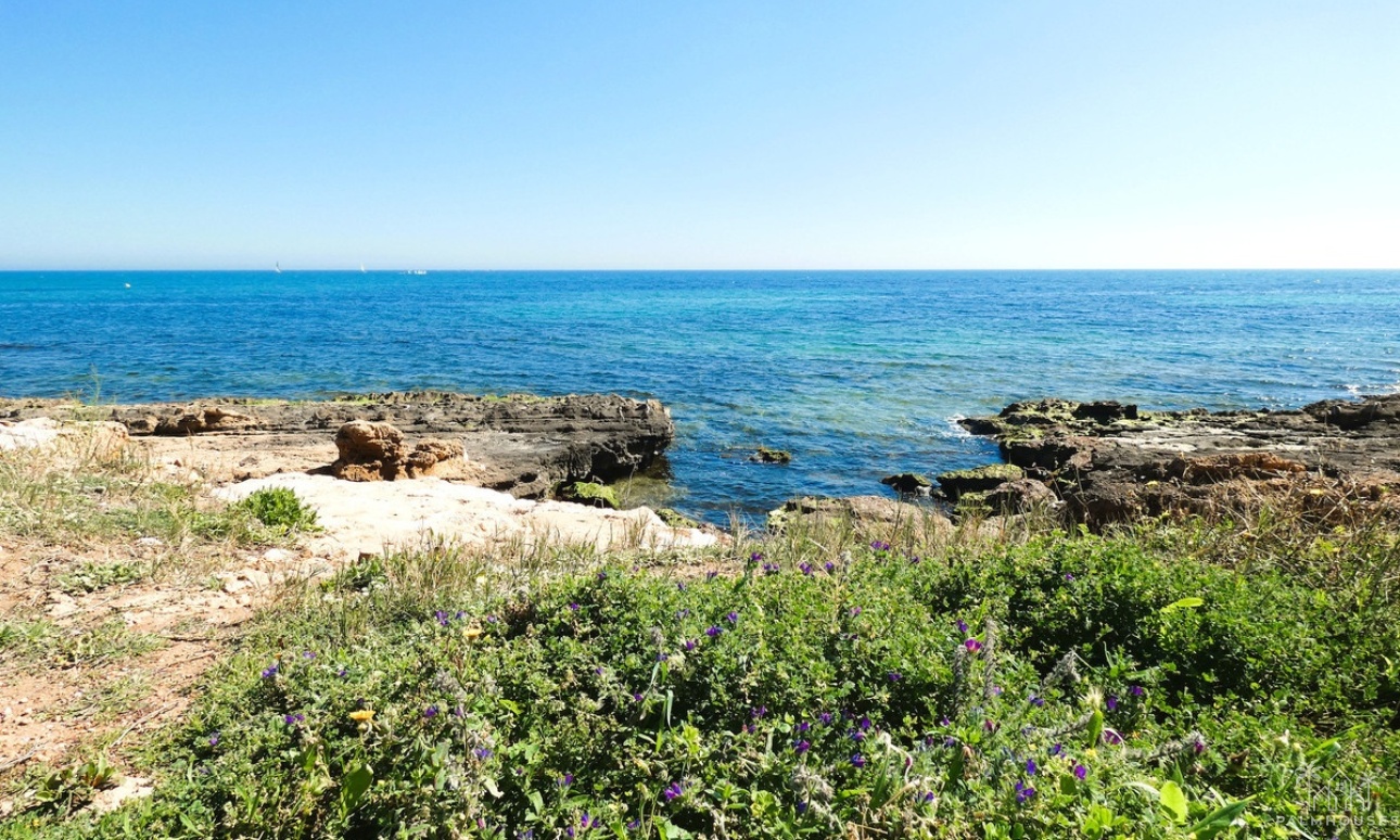 Resale - Apartments - Torrevieja - La Veleta