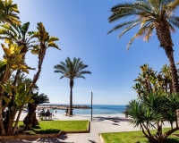 Resale - Apartments - Torrevieja - Paseo maritimo
