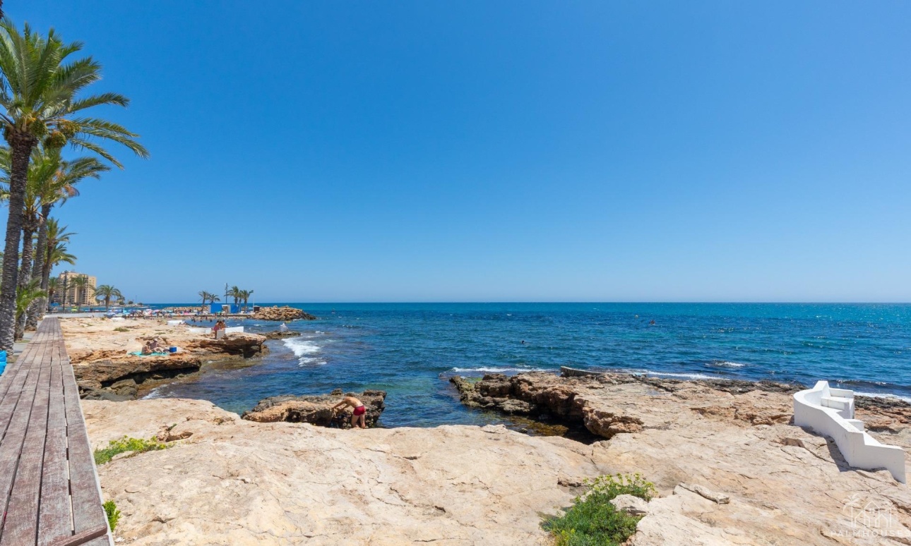 Resale - Apartments - Torrevieja - Paseo maritimo