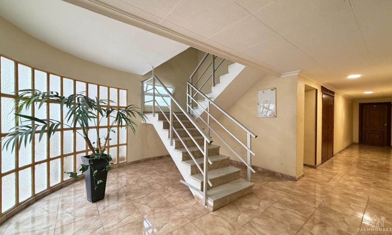 Resale - Apartments - Torrevieja - Paseo maritimo