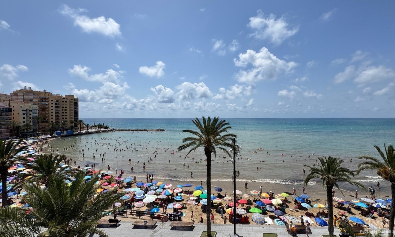 Resale - Apartments - Torrevieja - Playa del cura