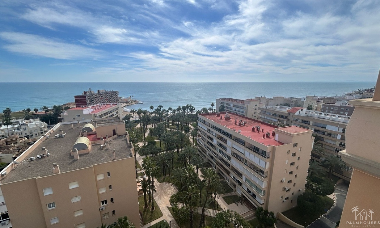Resale - Apartments - Torrevieja - Torrevieja Centro