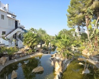 Resale - Apartments - Villamartin - Verdemar