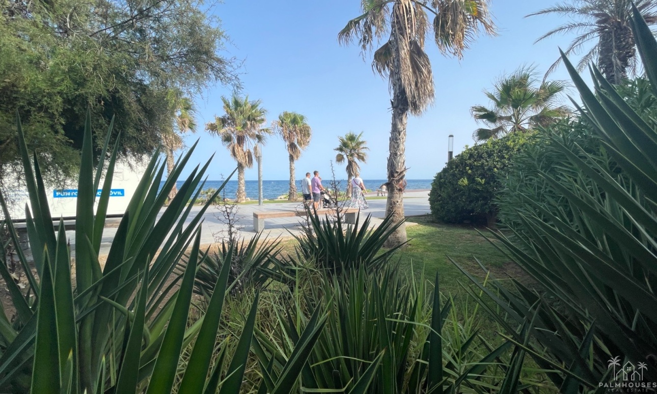 Resale - Commercial - Torrevieja - Comunidad Valenciana
