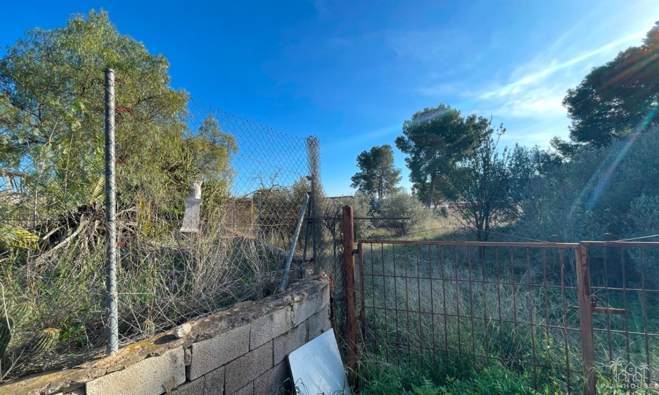 Resale - Country house - Aspe - Aspe Centro