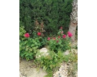 Resale - Country house - Crevillente - Crevillent - Crevillente - Crevillent Centro