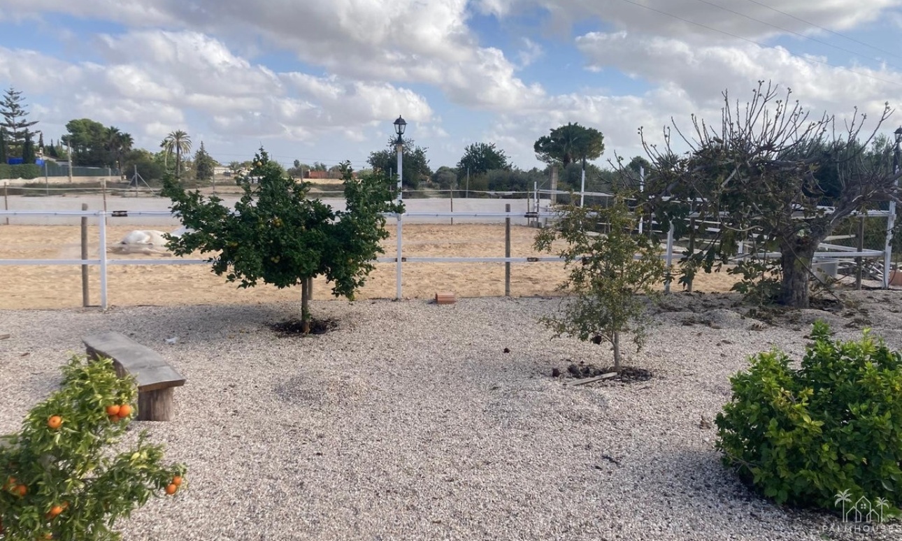 Resale - Country house - Crevillente - Crevillent - Crevillente - Crevillent Centro