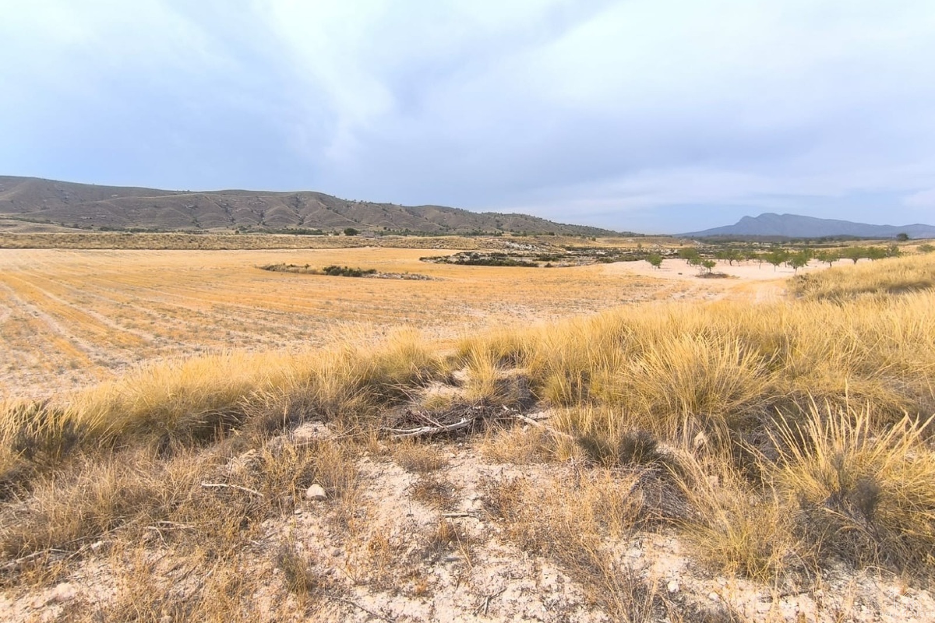 Resale - Country house - Jumilla - Jumilla Centro