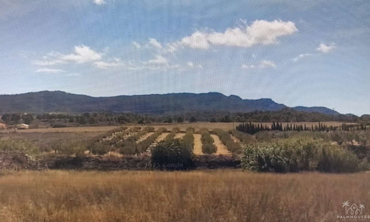 Resale - Country house - Lorca - Lorca Centro
