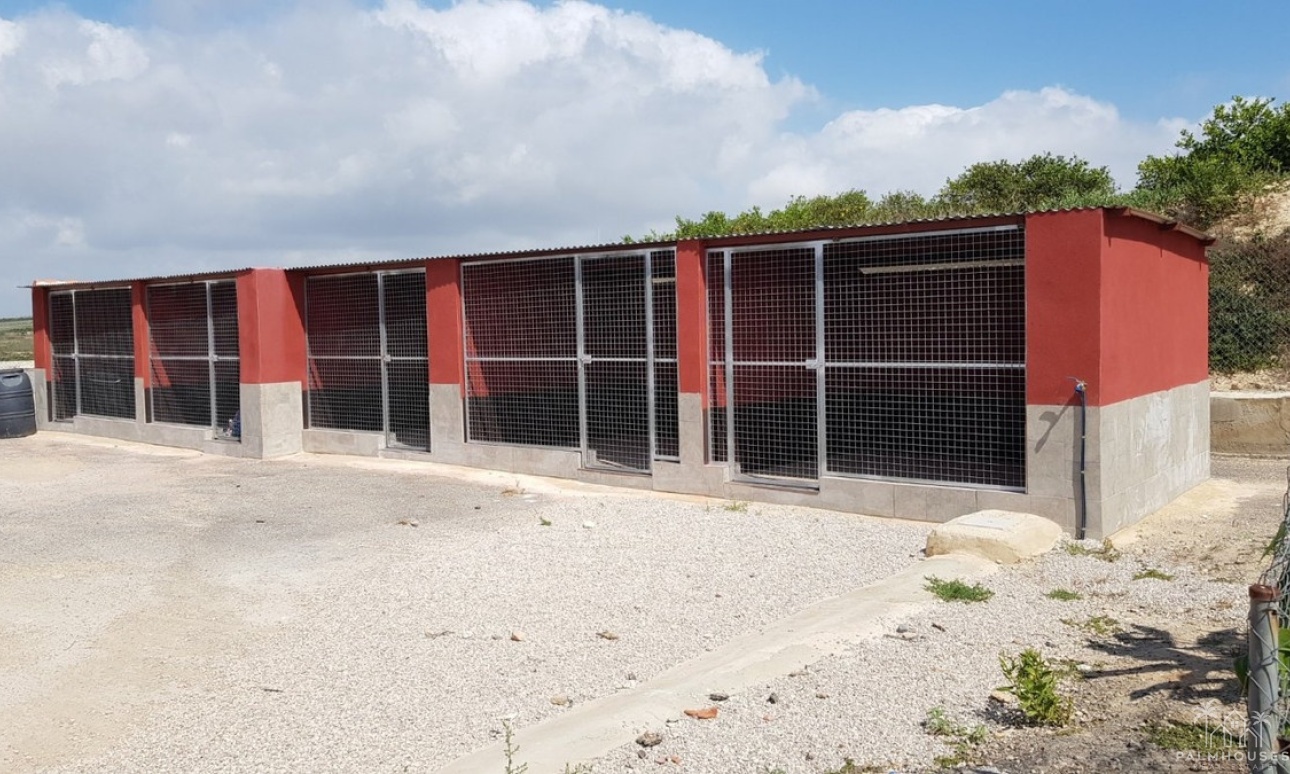 Resale - Country house - Los Montesinos - Los Montesinos Centro