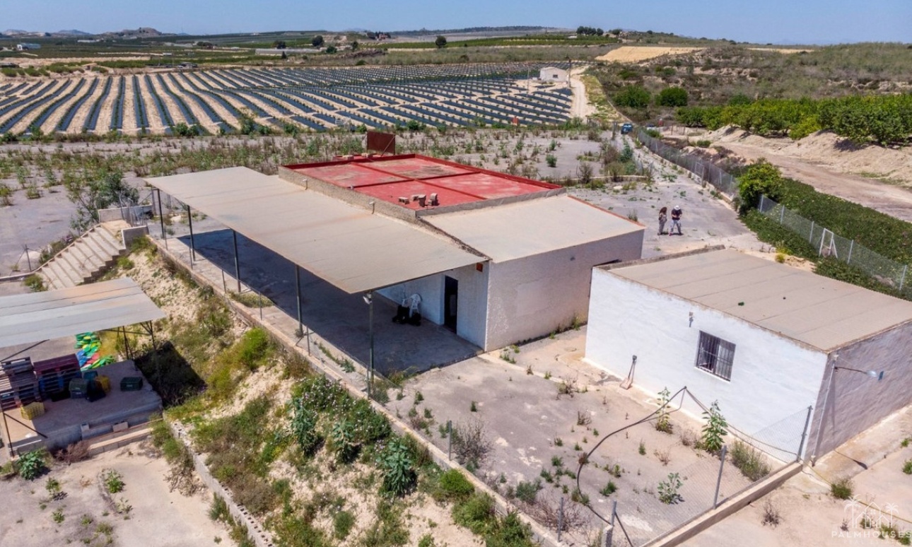 Resale - Country house - Los Montesinos - Los Montesinos Centro