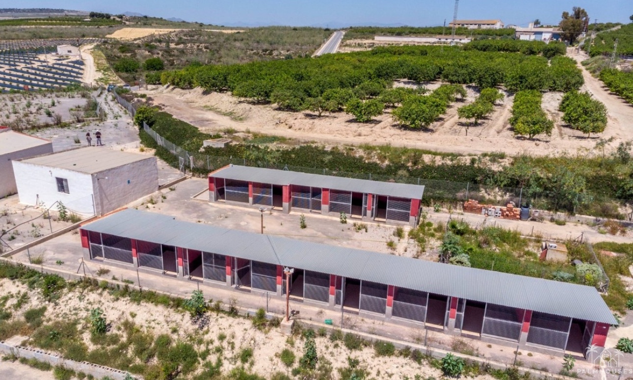 Resale - Country house - Los Montesinos - Los Montesinos Centro