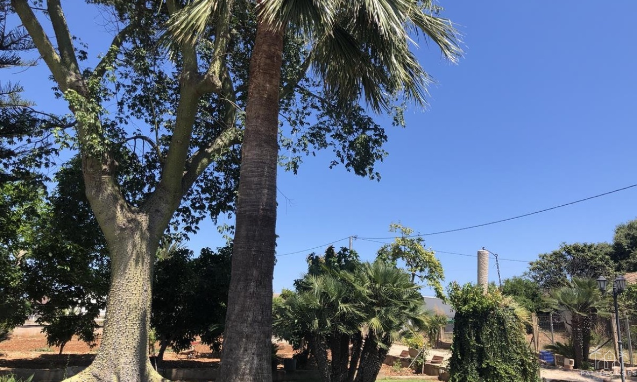 Resale - Country house - Ondara - Ondara Centro