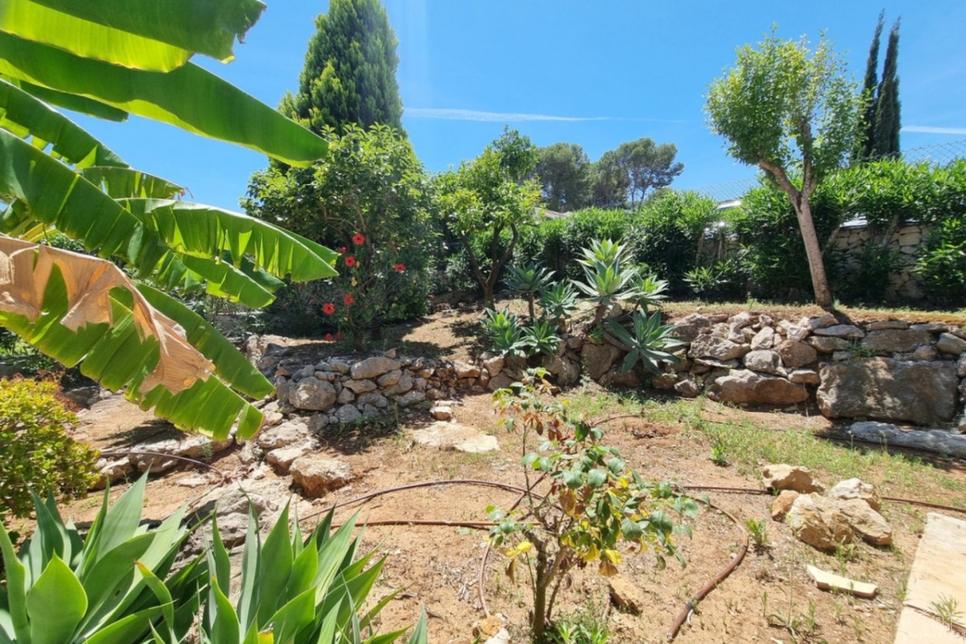 Resale - Country house - Pedreguer - Pedreguer Centro