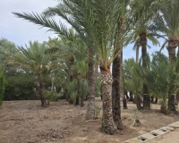 Resale - Country house - Teulada - Benimarco