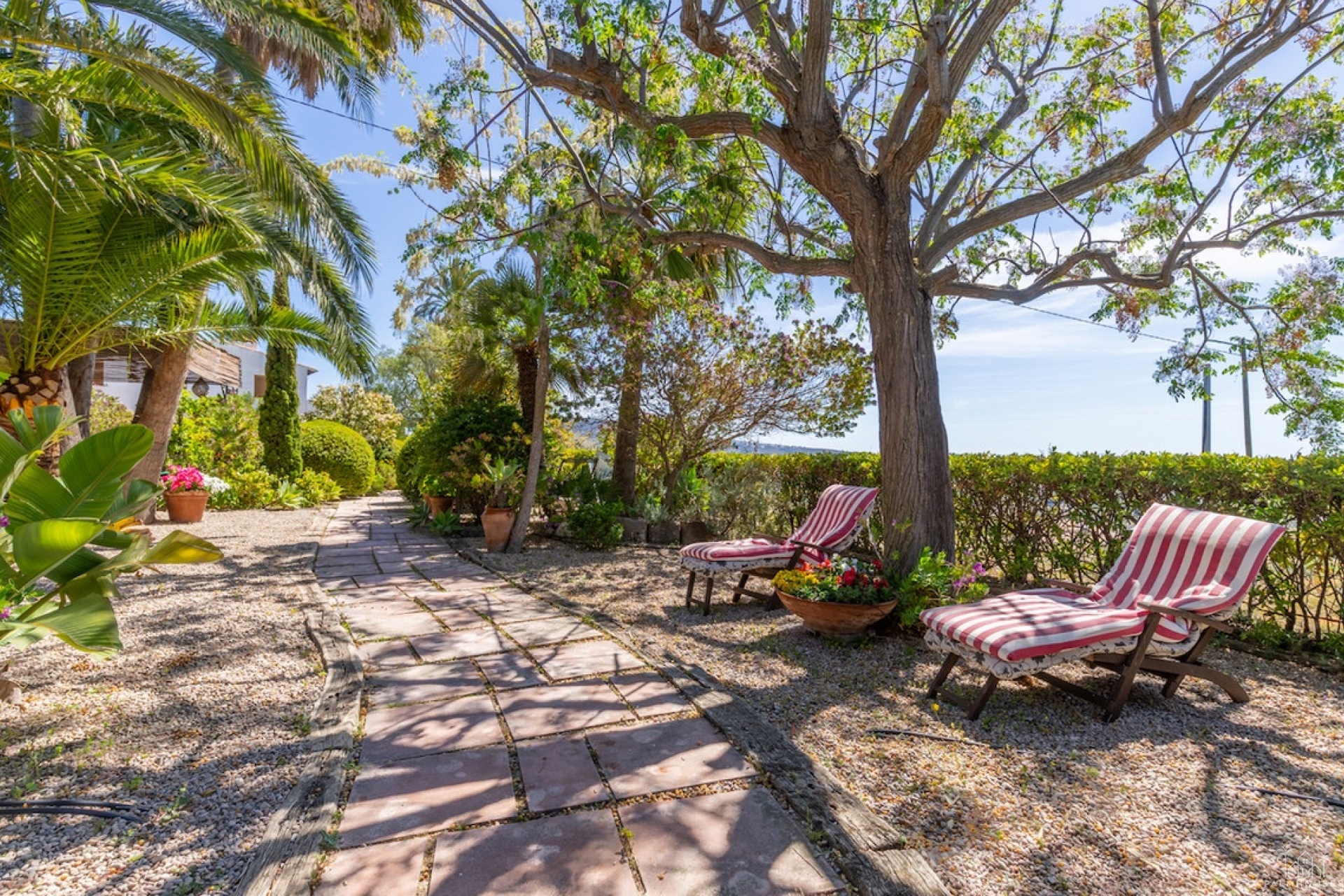 Resale - Country house - Teulada - Teulada Centro