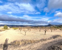 Resale - Country house - Yecla - Yecla Centro
