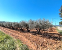 Resale - Country house - Yecla - Yecla Centro