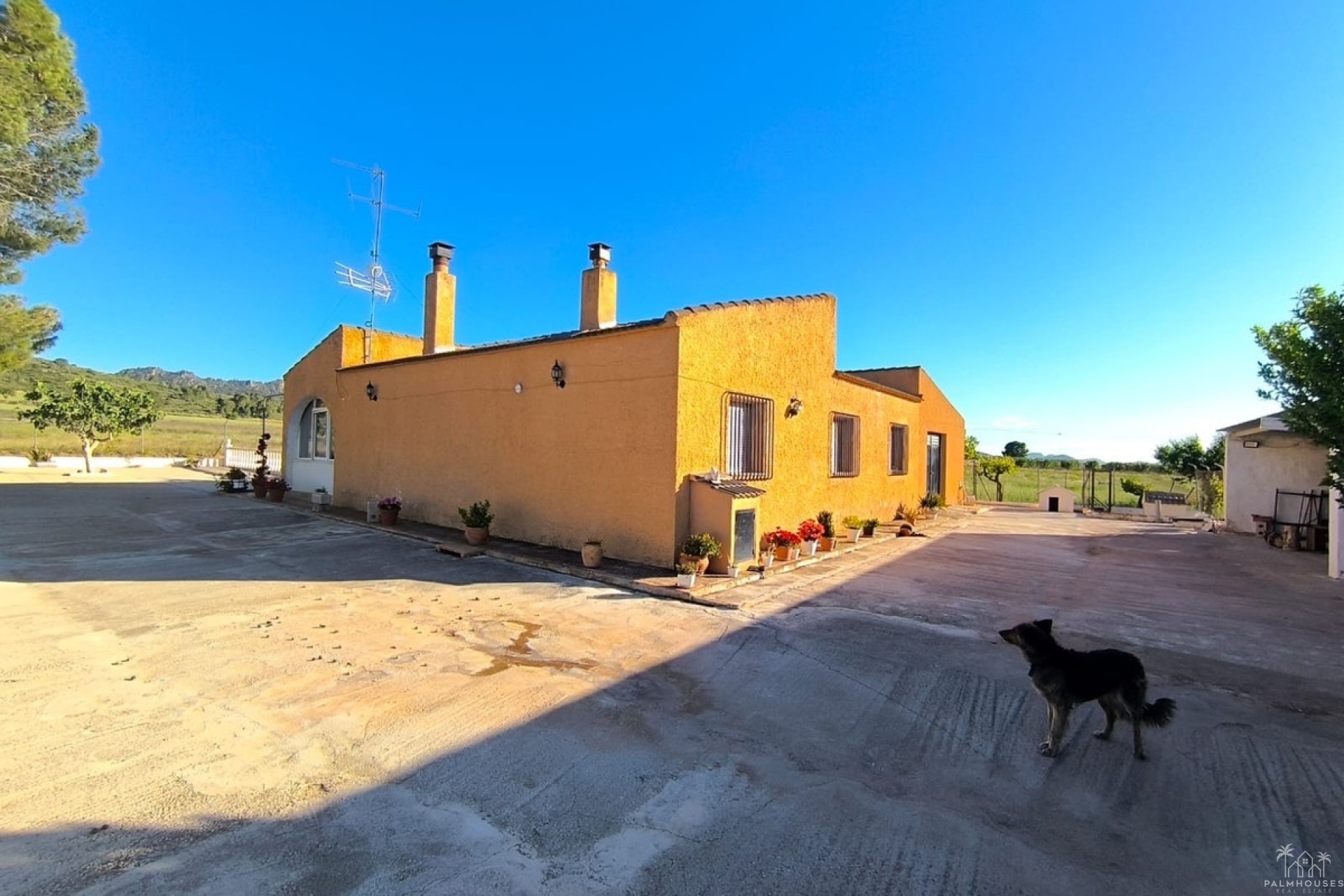 Resale - Country house - Yecla - Yecla Centro
