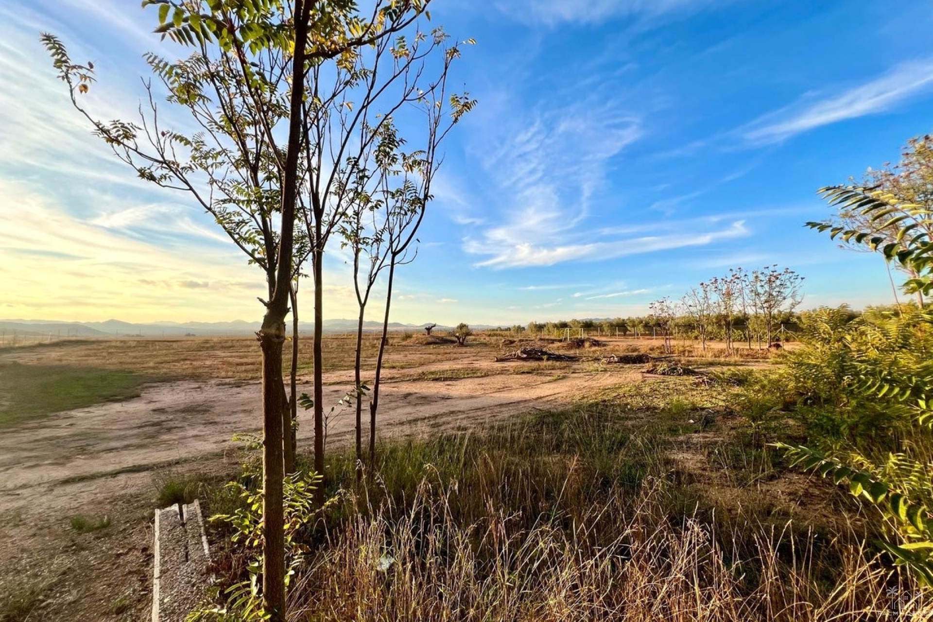 Resale - Country house - Yecla - Yecla Centro