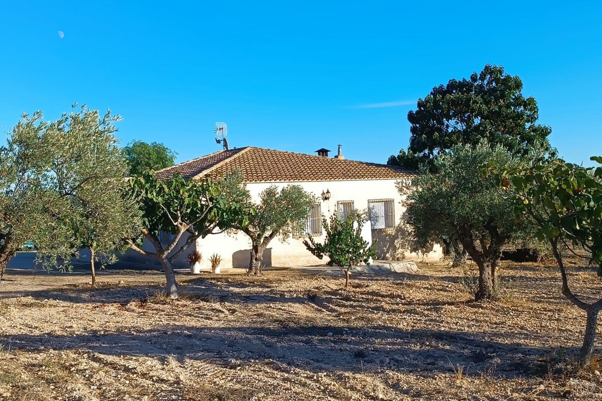 Resale - Country house - Yecla - Yecla Centro