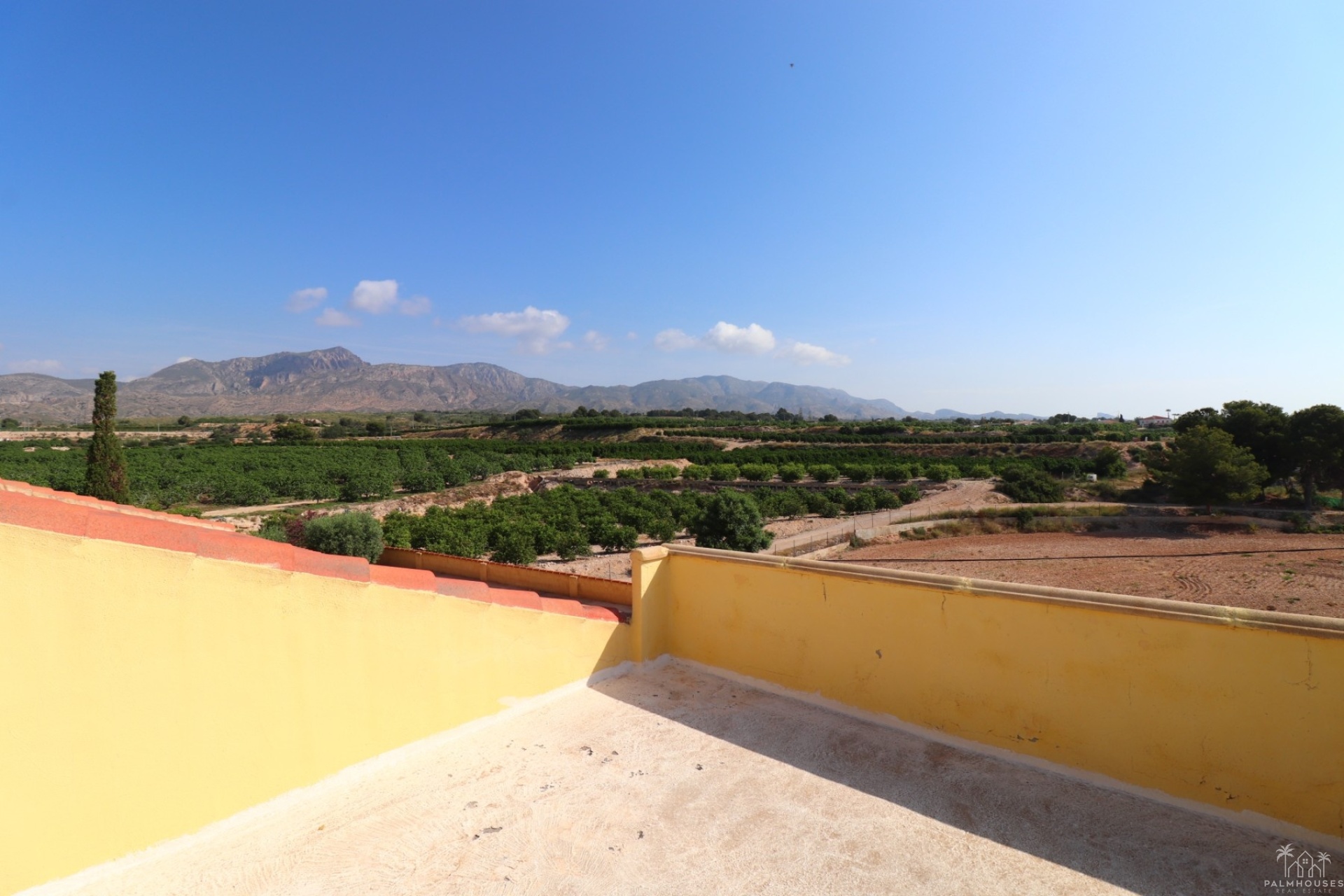 Resale - Finca - Albatera