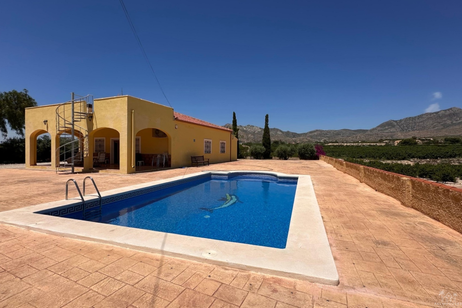 Resale - Finca - Albatera