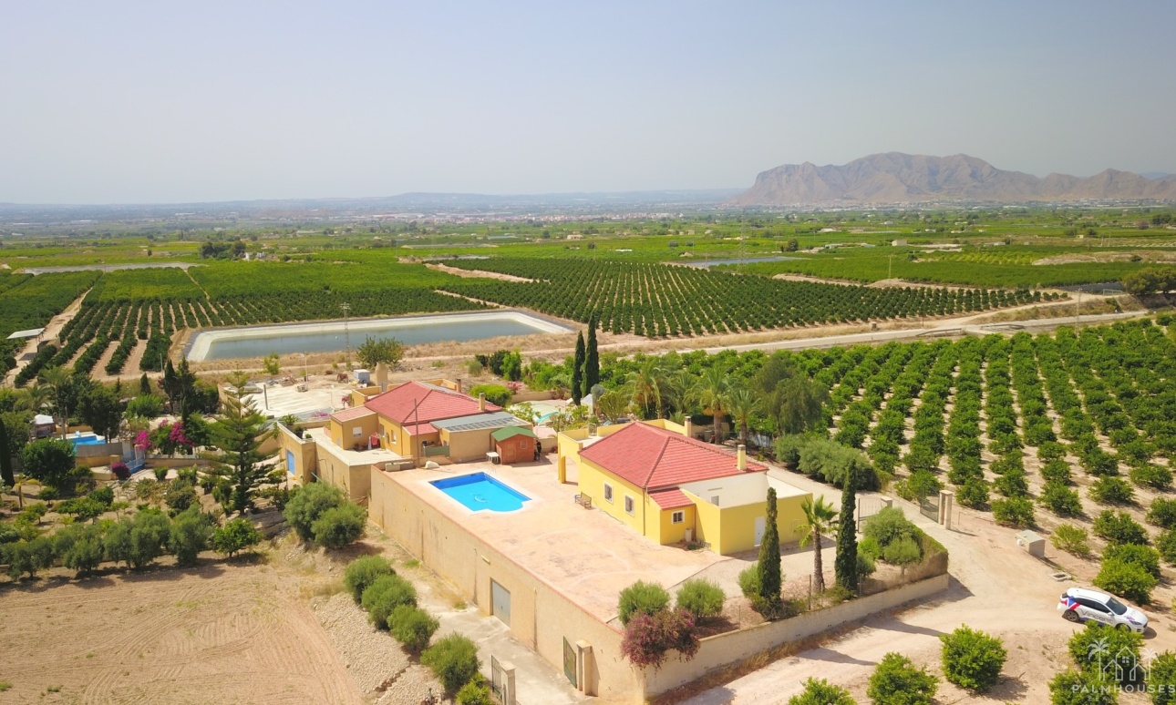 Resale - Finca - Albatera