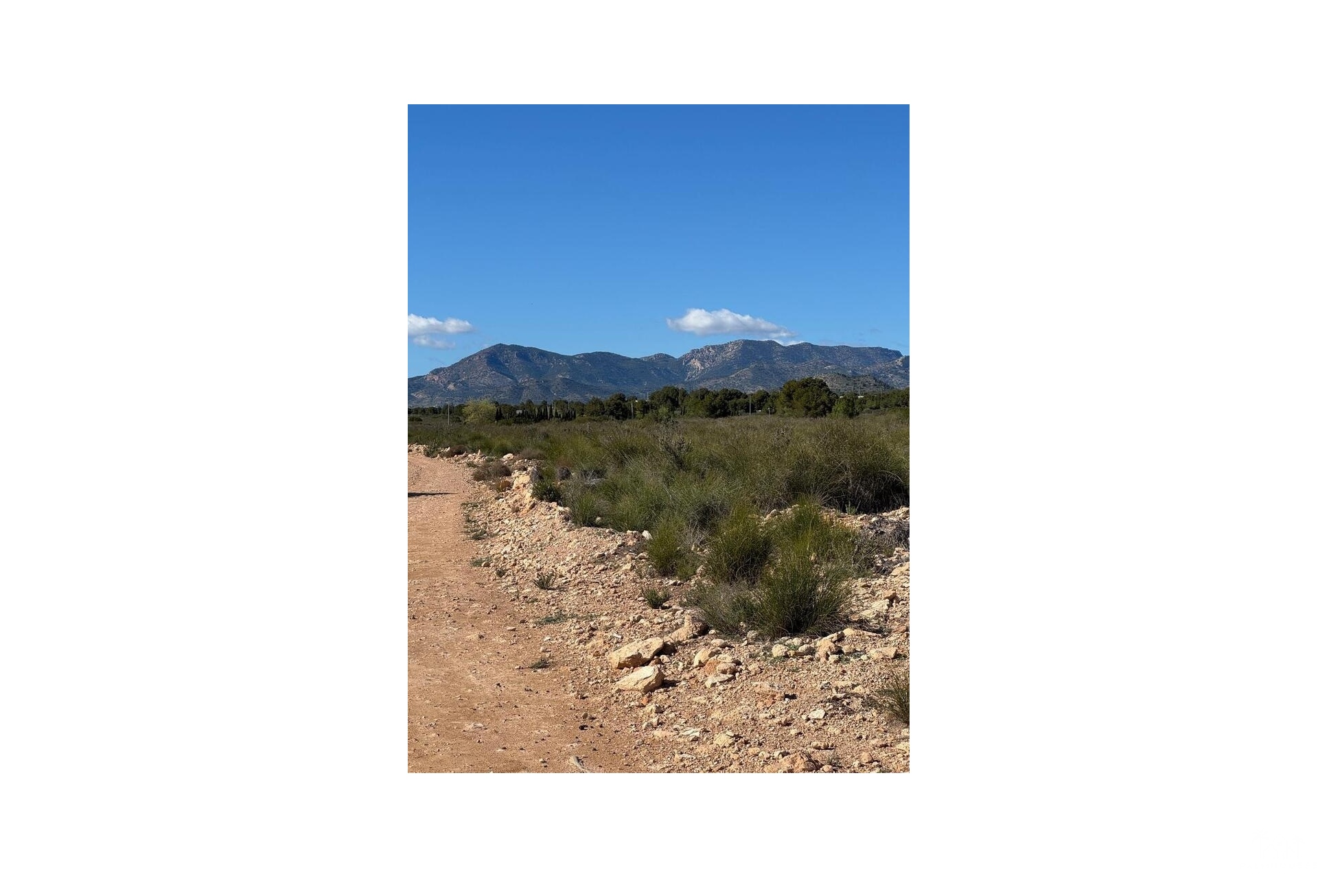 Resale - Finca - Aledo - Other