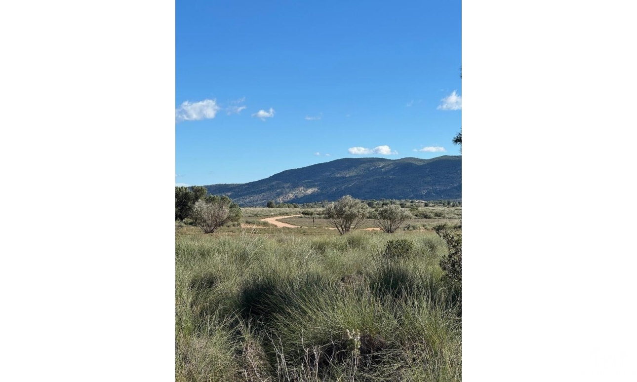 Resale - Finca - Aledo - Other