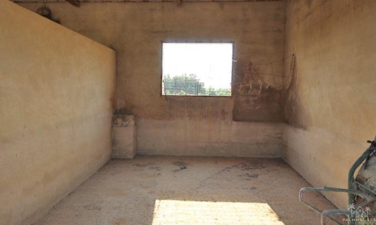 Resale - Finca - Alicante - Comunidad Valenciana