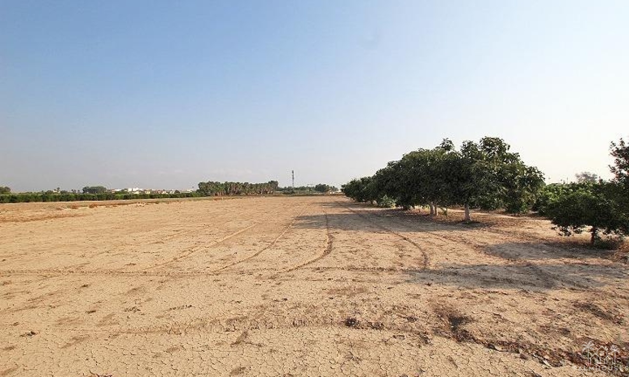 Resale - Finca - Alicante - Comunidad Valenciana