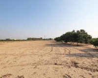 Resale - Finca - Alicante - Comunidad Valenciana