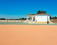 Resale - Finca - Catral