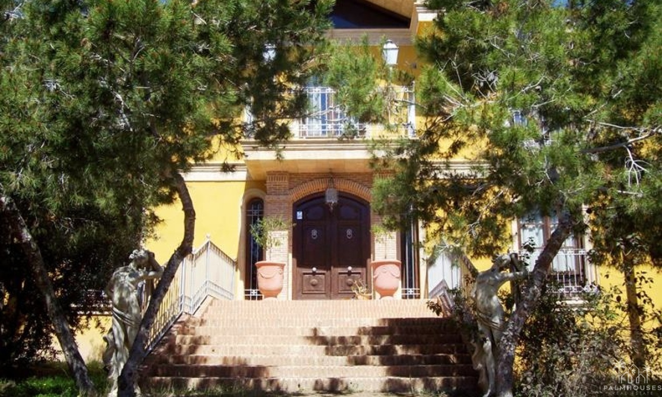 Resale - Finca - Ciudad Quesada - Lo Pepin