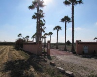 Resale - Finca - Dolores - Comunidad Valenciana