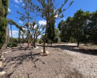 Resale - Finca - Dolores - Comunidad Valenciana