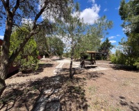 Resale - Finca - Dolores - Comunidad Valenciana