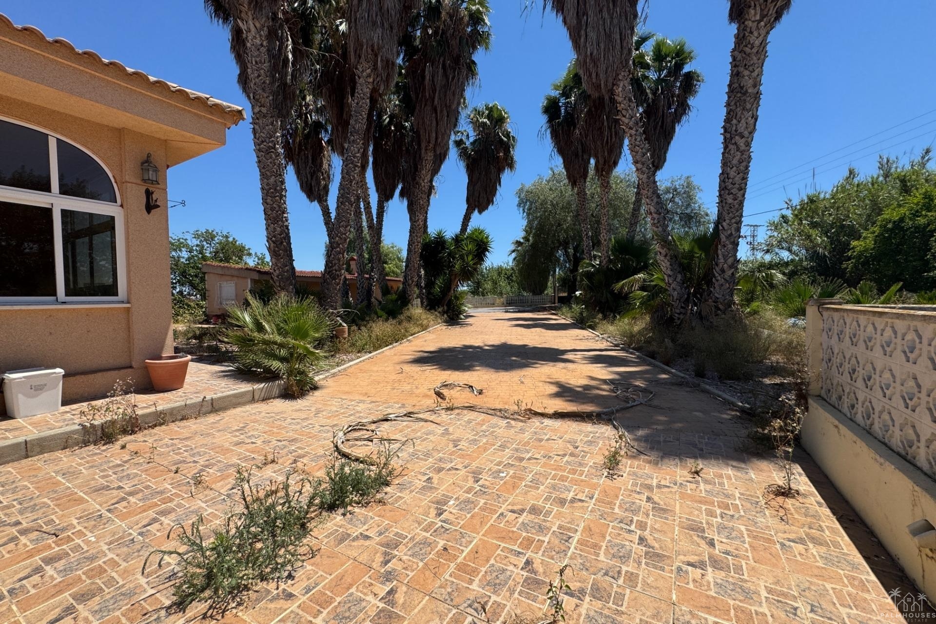 Resale - Finca - Dolores - Comunidad Valenciana