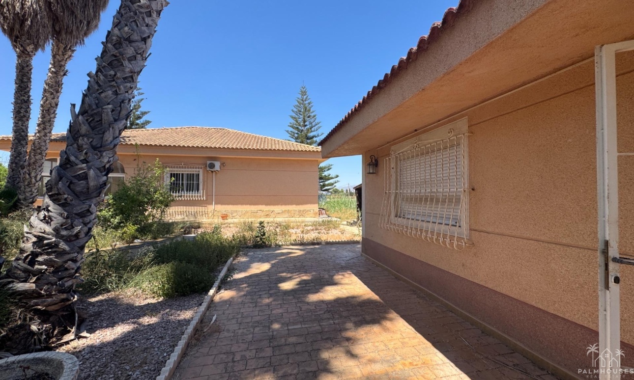 Resale - Finca - Dolores - Comunidad Valenciana