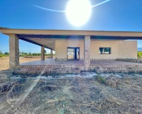 Resale - Finca - Elche - Matola