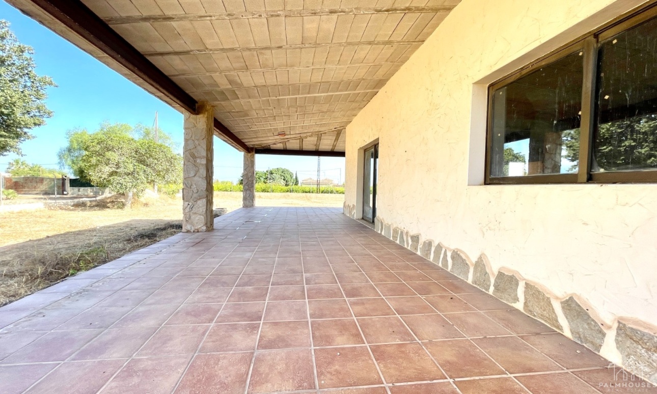 Resale - Finca - Elche - Matola