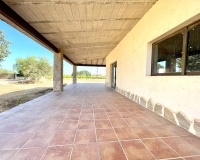 Resale - Finca - Elche - Matola