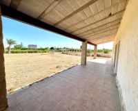 Resale - Finca - Elche - Matola
