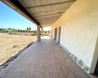 Resale - Finca - Elche - Matola