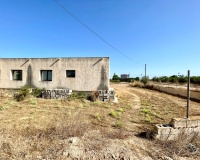 Resale - Finca - Elche - Matola