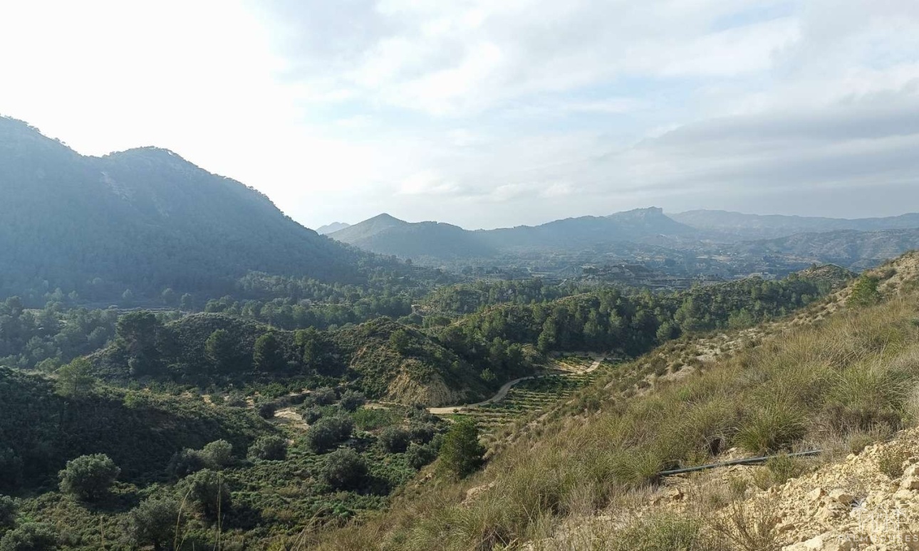 Resale - Finca - Gea Y Truyols - Inland