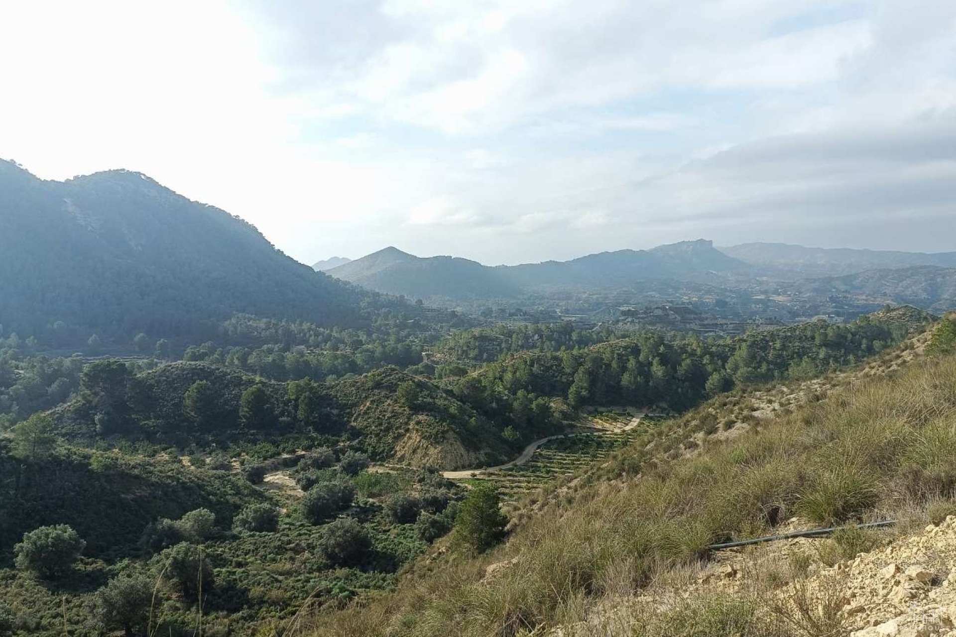 Resale - Finca - Gea Y Truyols - Inland